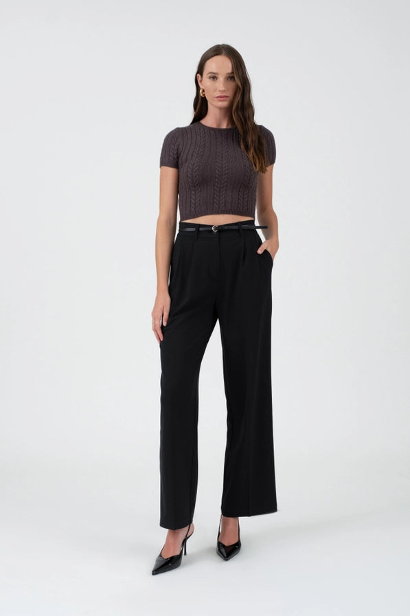 The Ava High-Waisted Pleated Wide Legged Pants | Black |